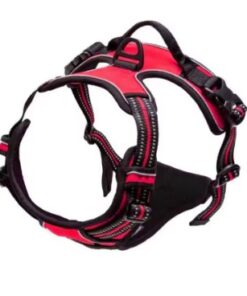 Dog Collars Harness Big Vests Leash Pet Shop Everything for Dogs Leather Puppy Accessories Large Set